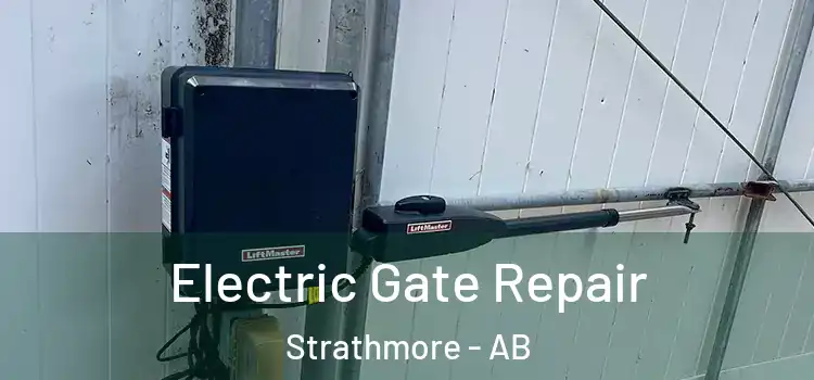 Electric Gate Repair Strathmore - AB