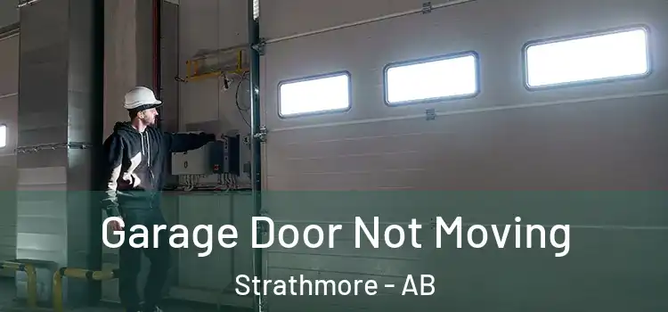  Garage Door Not Moving Strathmore - AB