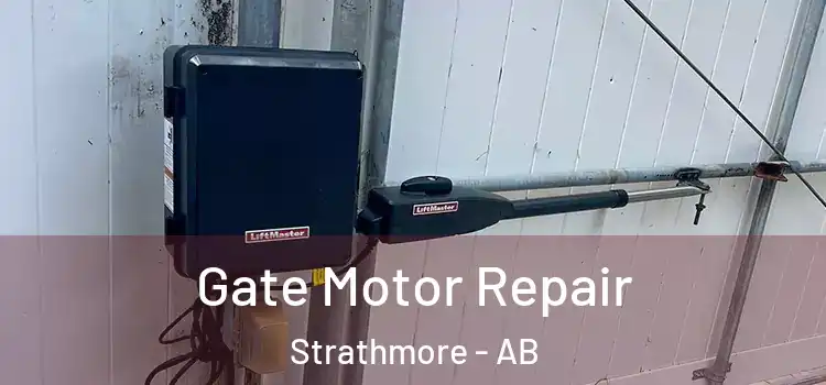  Gate Motor Repair Strathmore - AB