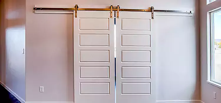 Glass Barn Door with Installation Hardware Kit Strathmore